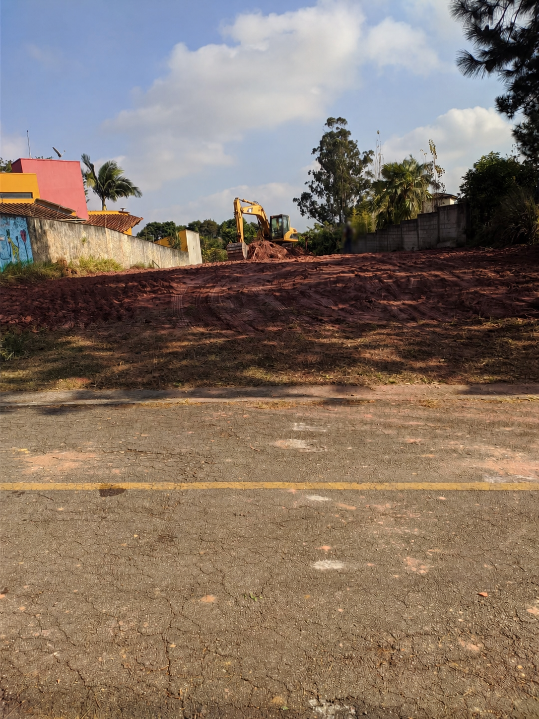 Terreno após a limpeza inicial e preparação para terraplenagem